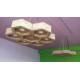 lampadari in cartone